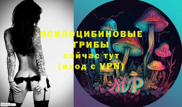 Альфа ПВП Елабуга