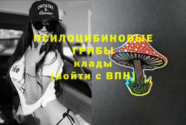 круглые Елизово